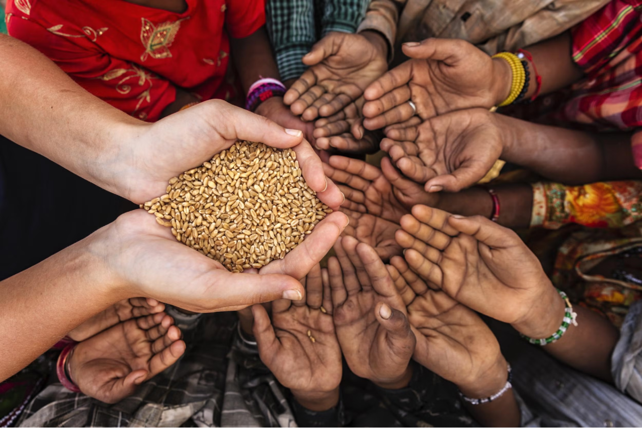 7 Ways To Achieve Zero Hunger